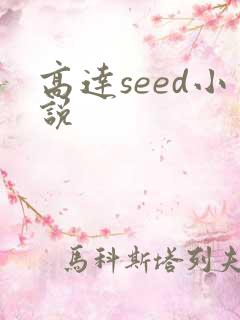 高达seed小说