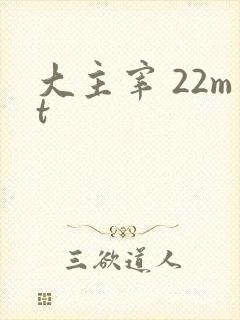 大主宰 22mt