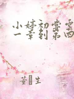 小婷初尝云雨第一章到第四章