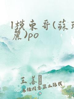 l模东哥(苏玛丽)po