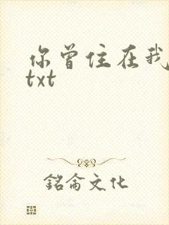 你曾住在我心上txt