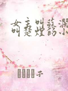 女主叫苏澜男主叫楚煜的小说