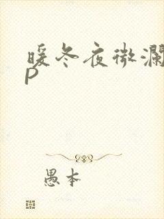 暖冬夜微澜VIP