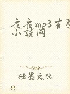 夜夜mp3有声小说网