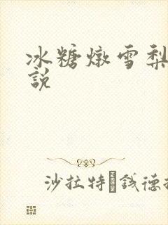 冰糖炖雪梨 小说