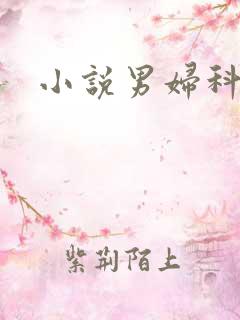 小说男妇科医生