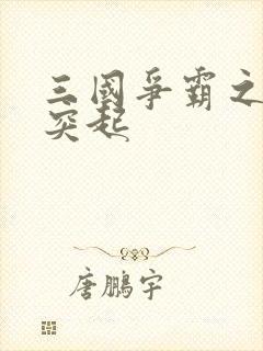 三国争霸之异军突起