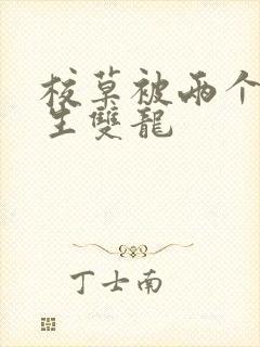 校草被两个体育生双龙