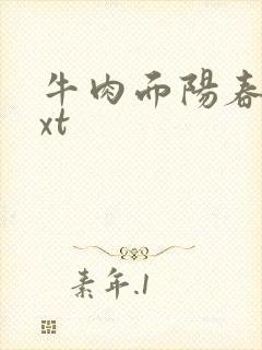 牛肉面阳春面txt