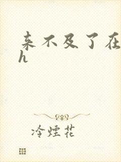 来不及了在车ch