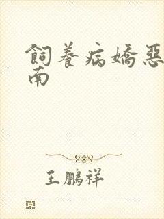 饲养病娇恶龙指南