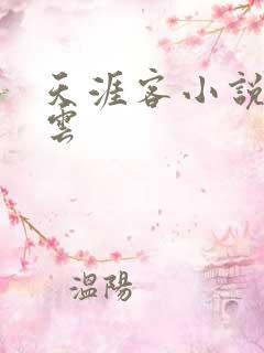 天涯客小说百度云