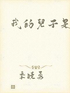 我的儿子是雍正