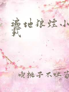 遍地狼烟小说下载