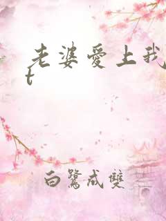 老婆爱上我txt