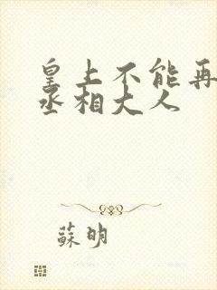 皇上不能再进了丞相大人