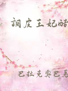 调皮王妃酷王爷