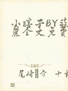 小瞎子BY苏玛丽全文免费笔趣阁