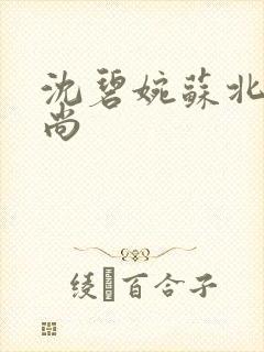 沈碧婉苏北宸和尚