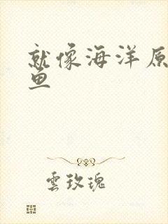 就像海洋原谅了鱼