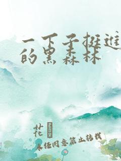 一下子挺进浓密的黑森林