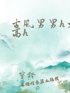 古风男男h文肉高h