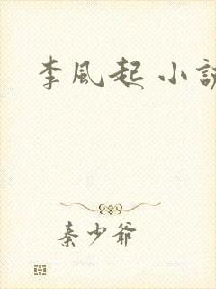 李风起 小说