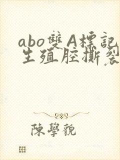 abo双A标记生殖腔撕裂