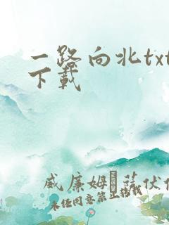 一路向北txt下载