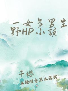 一女多男生活狂野HP小说
