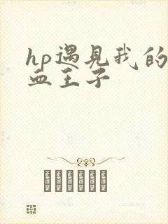 hp遇见我的混血王子