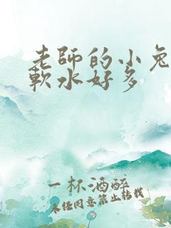 老师的小兔子好软水好多