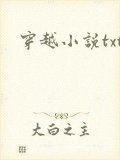 穿越小说txt