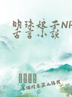 明珠娘子NPC古言小说