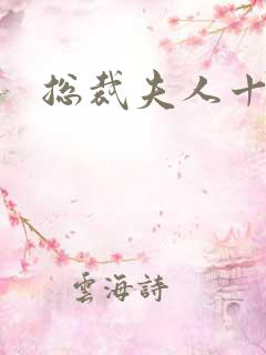 总裁夫人十八岁