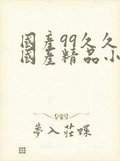 国产99久久久国产精品小说