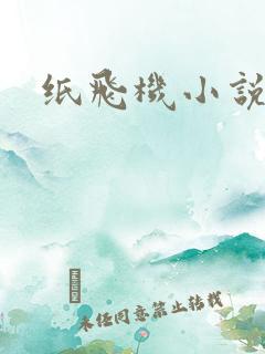 纸飞机小说