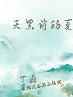 天黑前的夏天