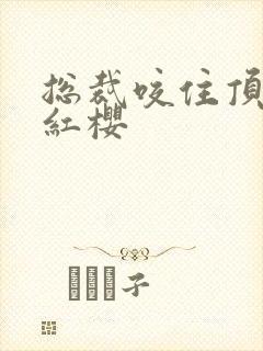 总裁咬住顶端的红樱