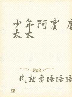 少年阿宾 房东太太