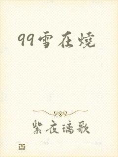 99雪在烧