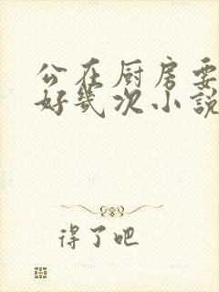 公在厨房要了我好几次小说