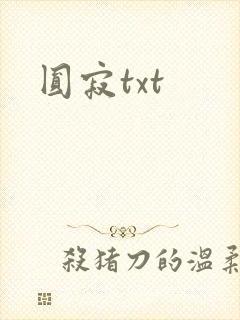 圆寂txt