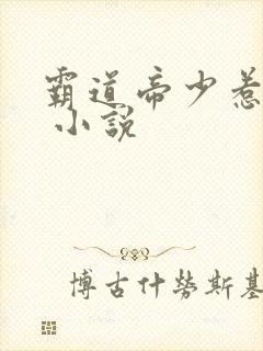 霸道帝少惹不得 小说