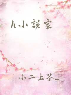 h小说家