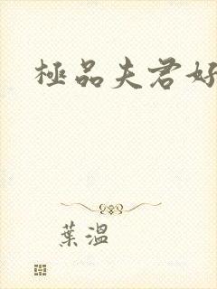 极品夫君好又多