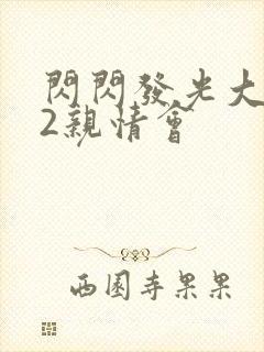 闪闪发光大团圆2亲情会