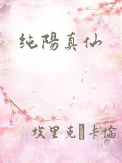 纯阳真仙