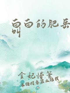 白白的肥岳嗷嗷叫