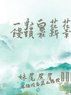 一对白花花的大馒头最新章节